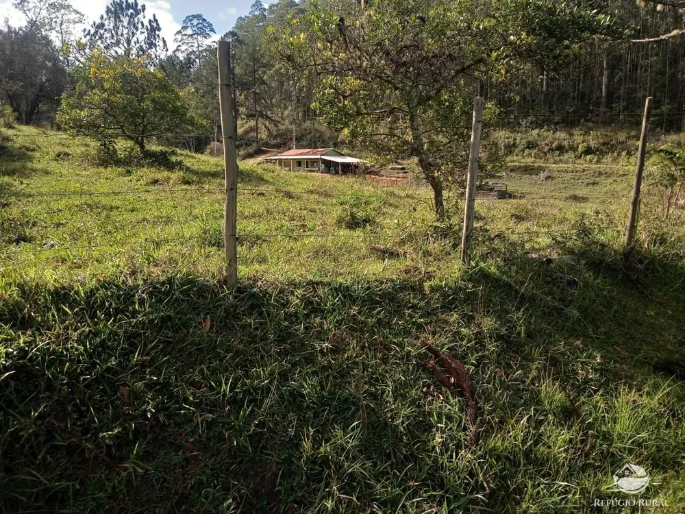 Sítio, 77 hectares - Foto 4
