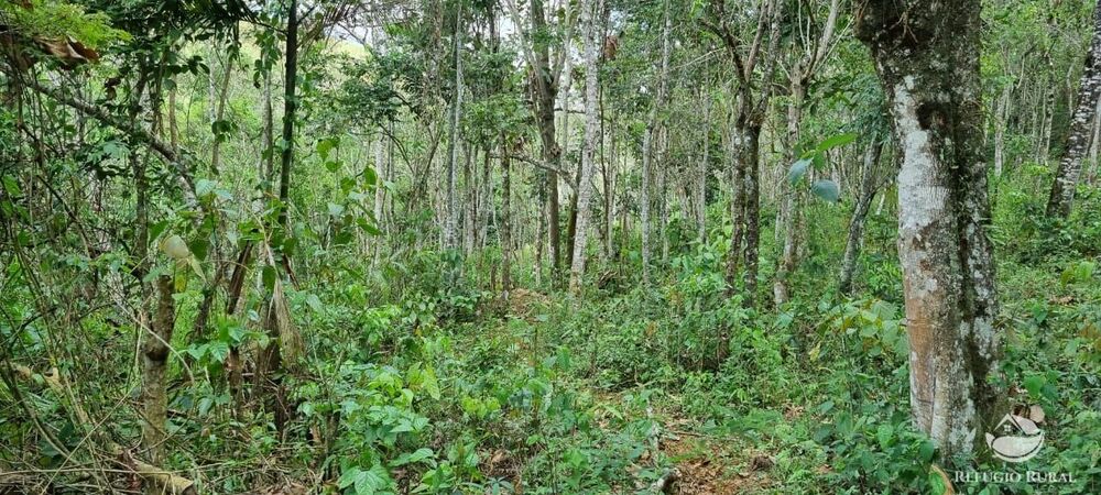 Terreno, 3 hectares - Foto 20