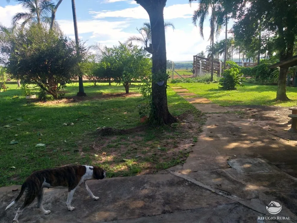 Sítio, 18 hectares - Foto 12