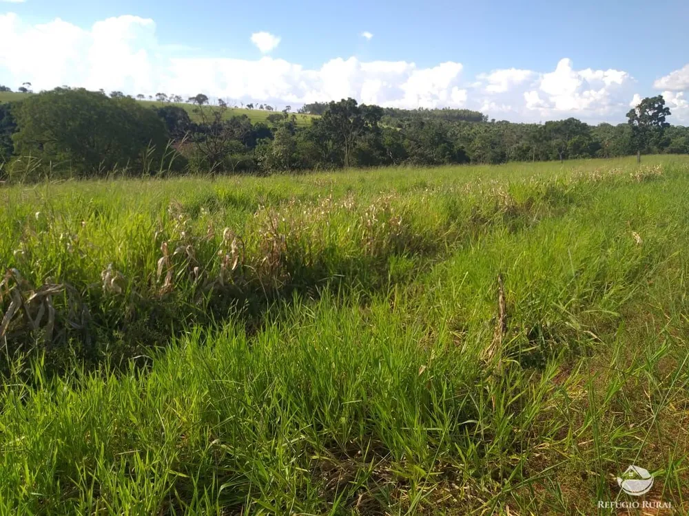 Sítio, 18 hectares - Foto 10