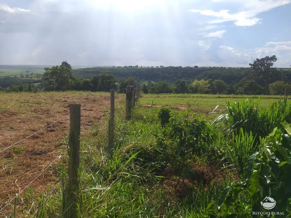Sítio, 18 hectares - Foto 15