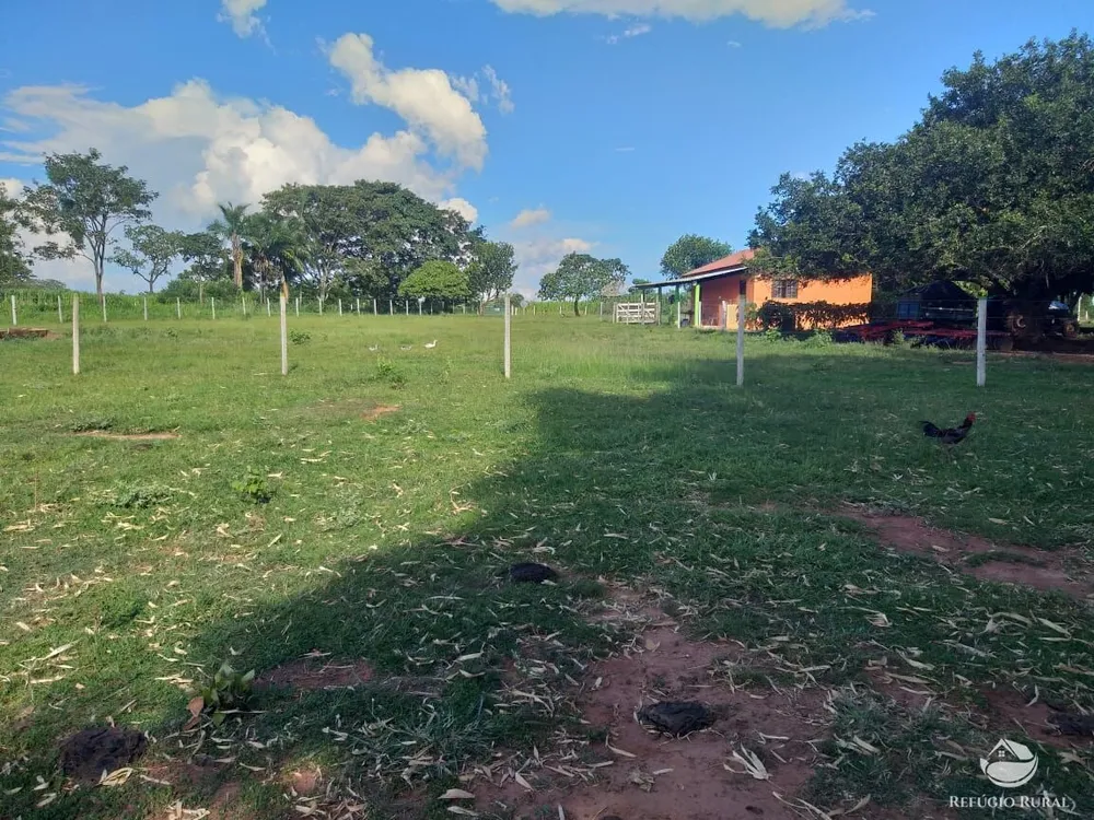 Sítio, 18 hectares - Foto 9