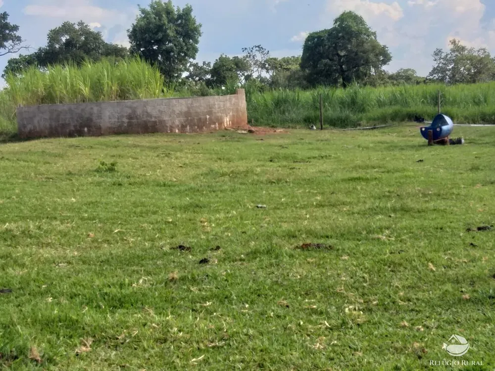 Sítio, 18 hectares - Foto 16