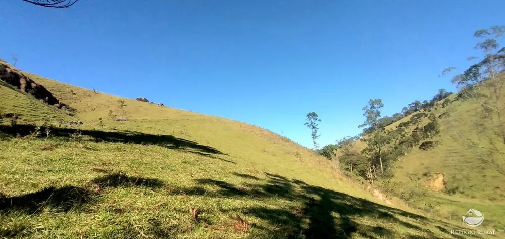 Sítio, 13 hectares - Foto 16