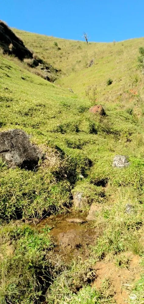 Sítio, 13 hectares - Foto 1