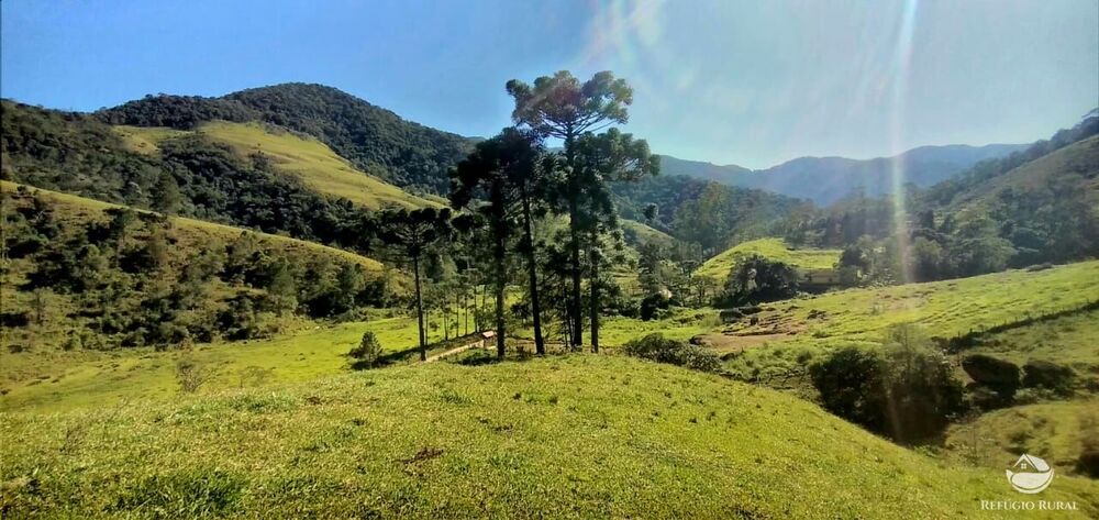 Sítio à venda com 1 quarto, 125800m² - Foto 2