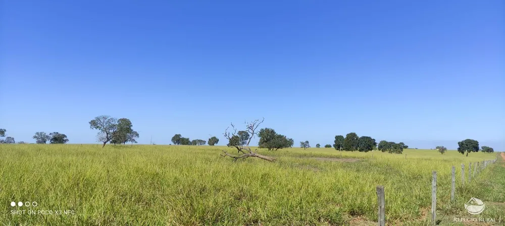 Fazenda, 891 hectares - Foto 2