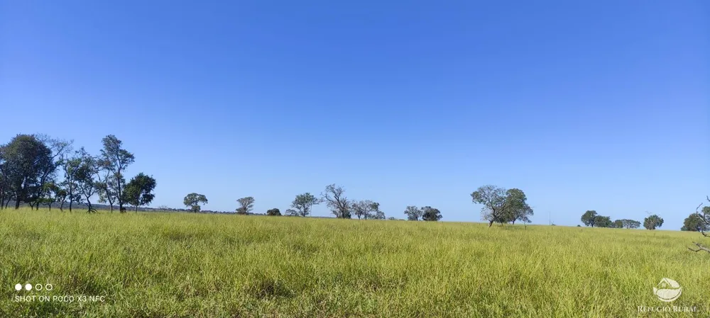 Fazenda, 891 hectares - Foto 3