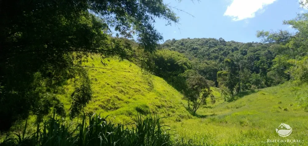 Terreno, 6 hectares - Foto 4