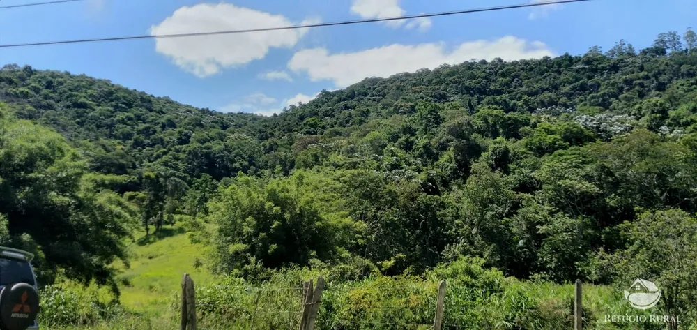 Terreno, 6 hectares - Foto 6