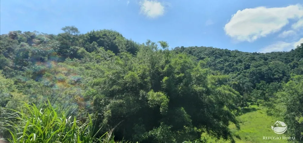 Terreno, 6 hectares - Foto 1