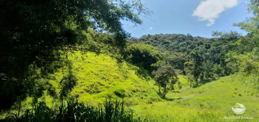 Terreno, 6 hectares - Foto 3