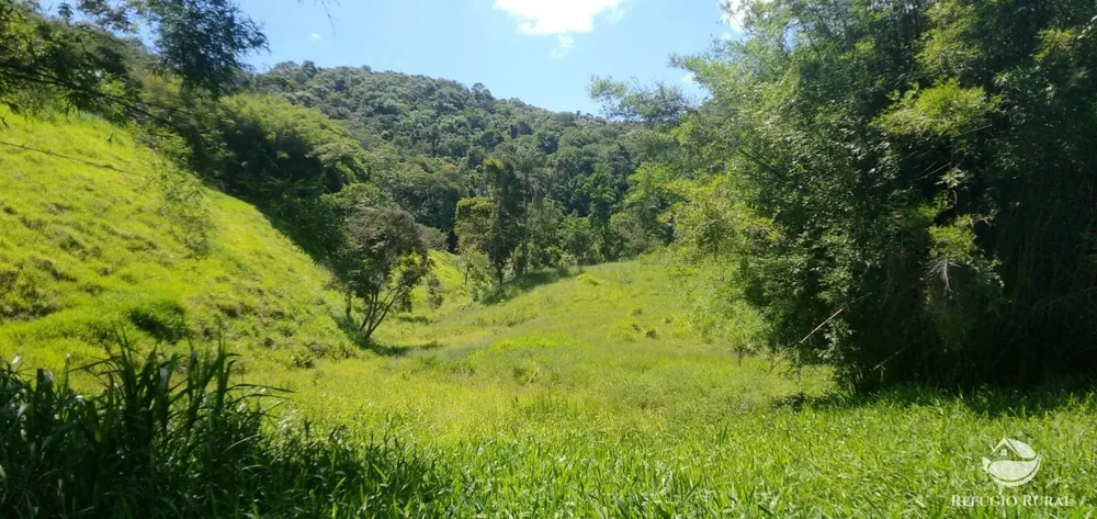 Terreno, 6 hectares - Foto 7