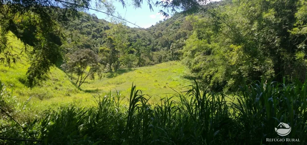 Terreno, 6 hectares - Foto 7
