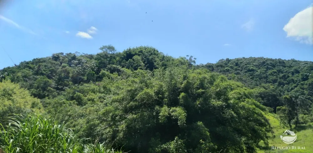 Terreno, 6 hectares - Foto 8