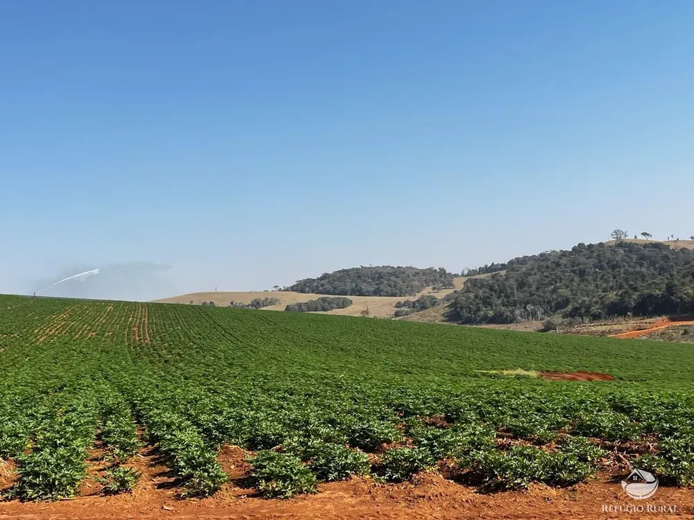 Fazenda, 326 hectares - Foto 2