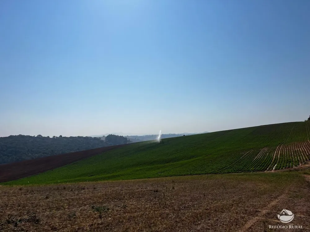 Fazenda, 326 hectares - Foto 12