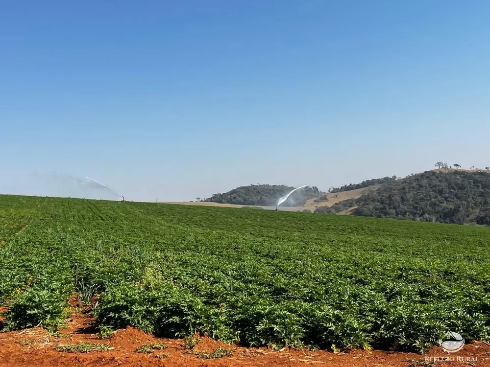 Fazenda, 326 hectares - Foto 7