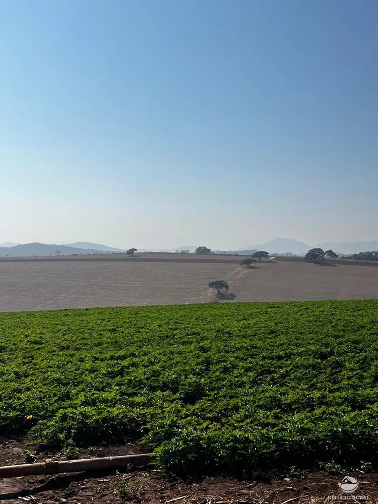 Fazenda, 326 hectares - Foto 16