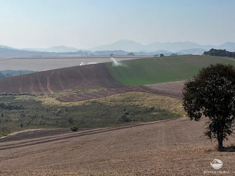 Fazenda, 326 hectares - Foto 13