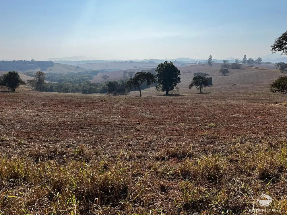 Fazenda, 326 hectares - Foto 9