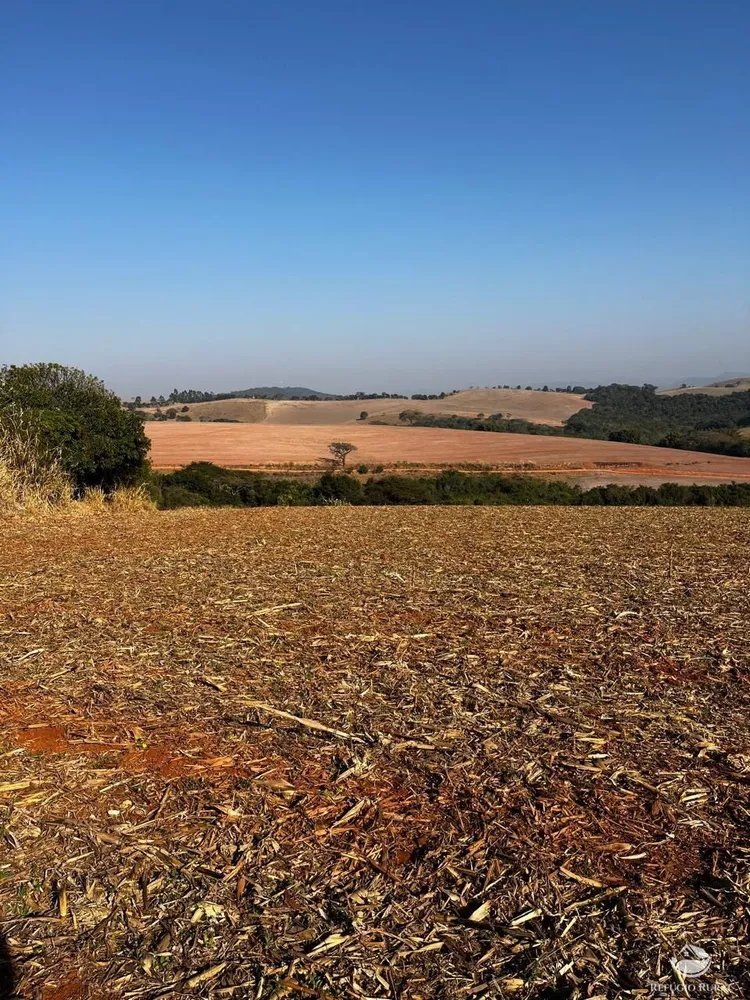 Fazenda, 326 hectares - Foto 11