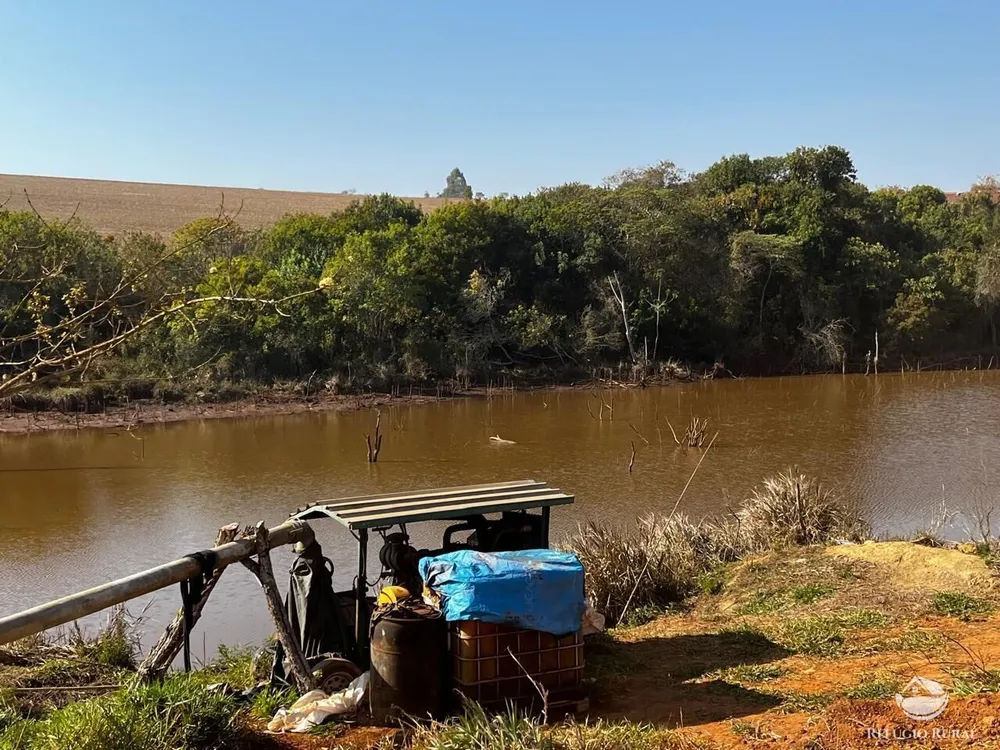 Fazenda, 326 hectares - Foto 14