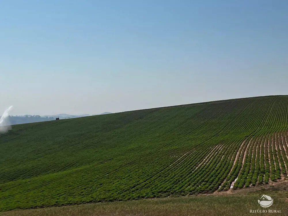 Fazenda, 326 hectares - Foto 3