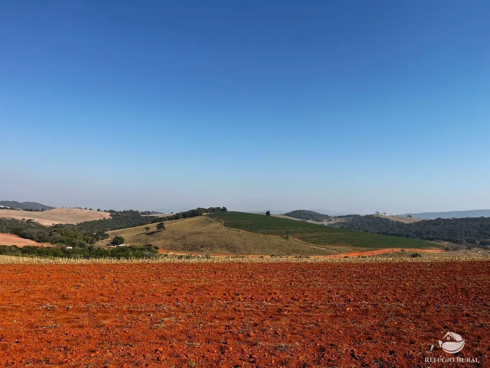 Fazenda, 326 hectares - Foto 4