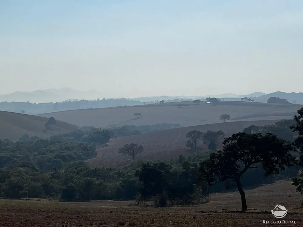 Fazenda, 326 hectares - Foto 8