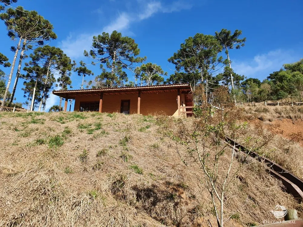 Chácara, 46 hectares - Foto 4