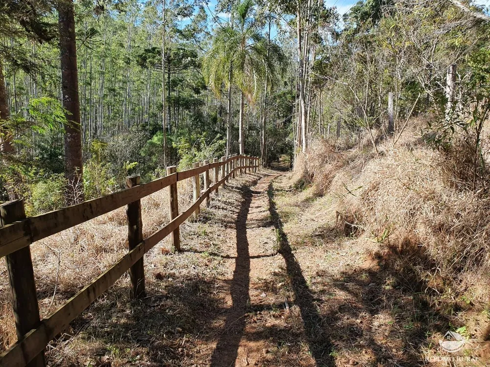 Chácara, 46 hectares - Foto 12