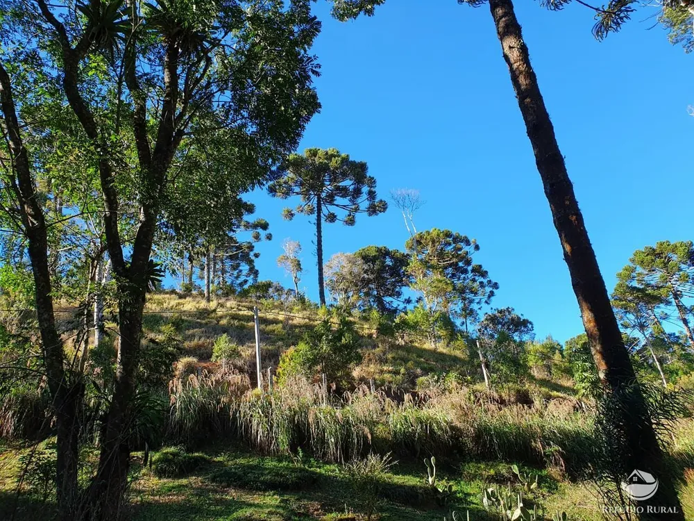 Chácara, 46 hectares - Foto 7