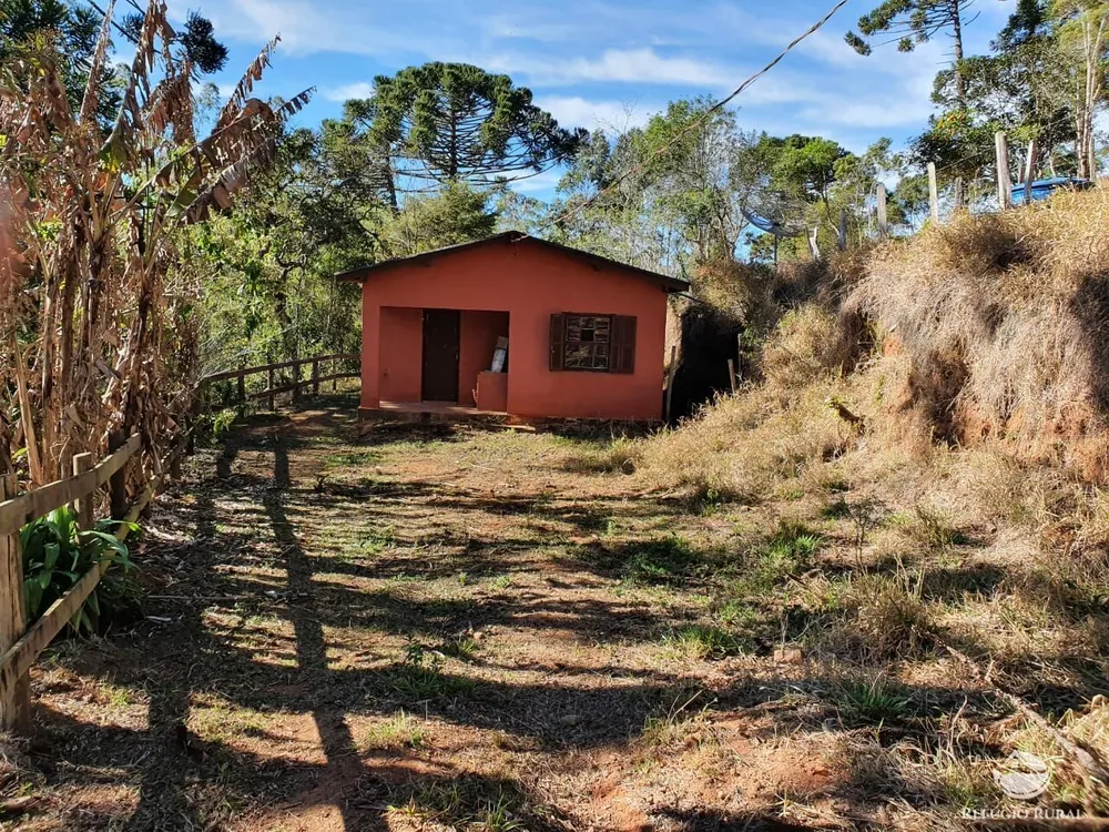 Chácara, 46 hectares - Foto 8