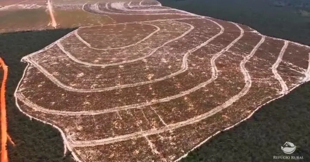 Fazenda, 4149 hectares - Foto 6