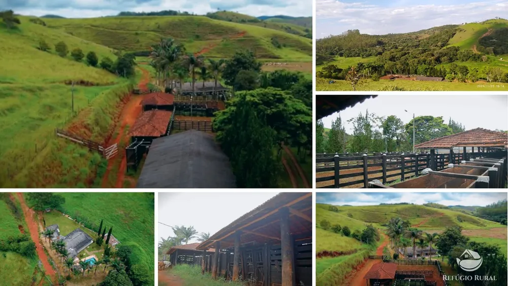 Fazenda, 443 hectares - Foto 4