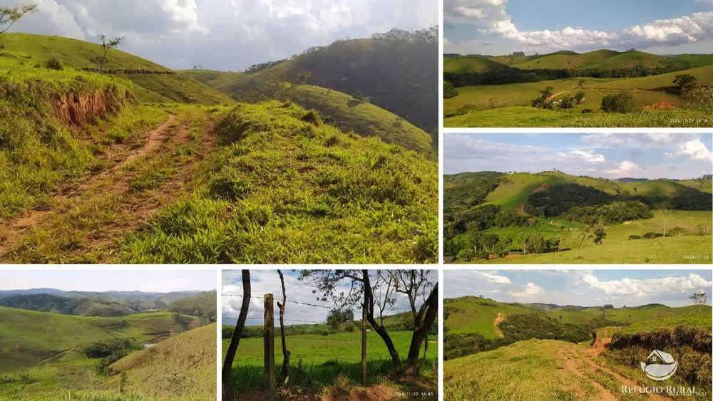 Fazenda, 443 hectares - Foto 8