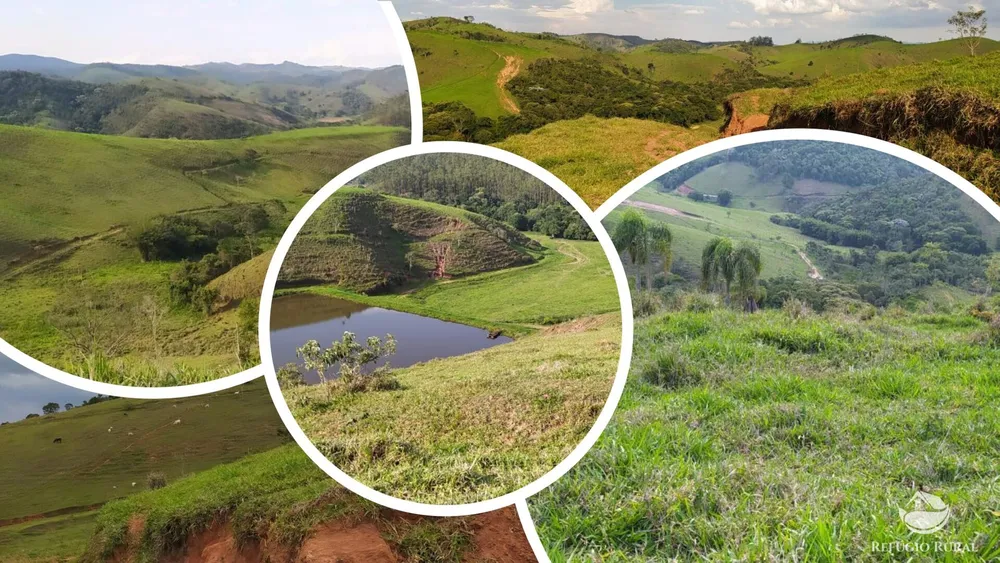 Fazenda, 443 hectares - Foto 6