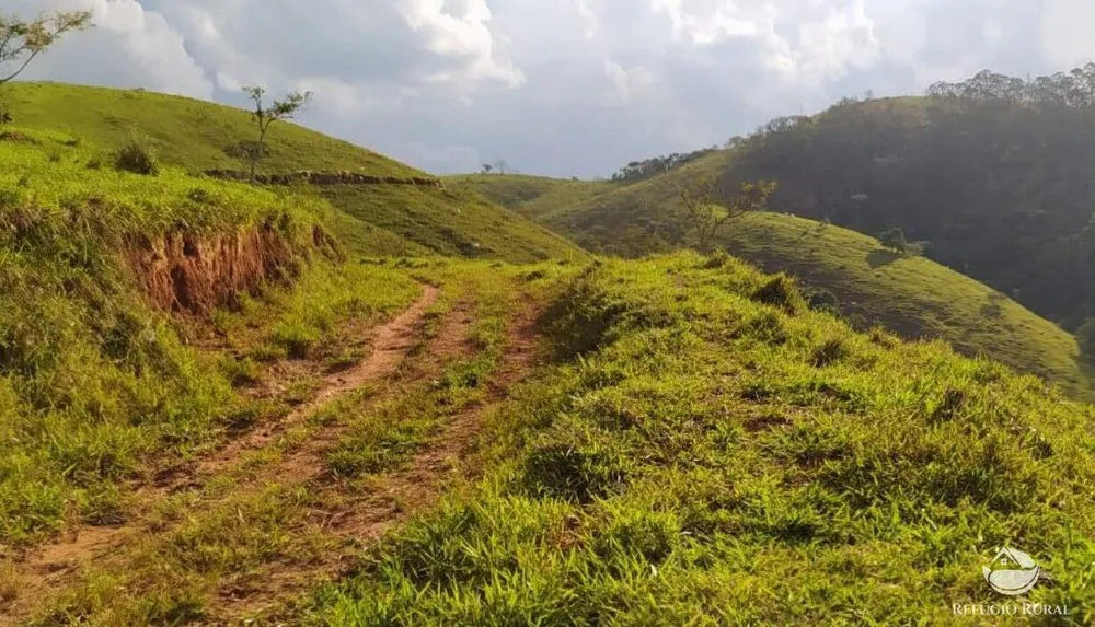 Fazenda, 443 hectares - Foto 2