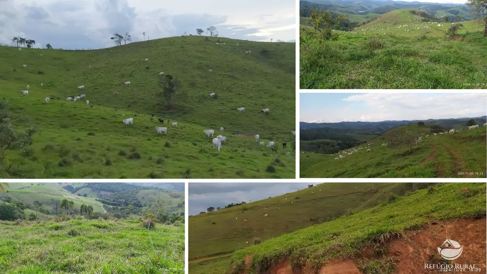 Fazenda, 443 hectares - Foto 7