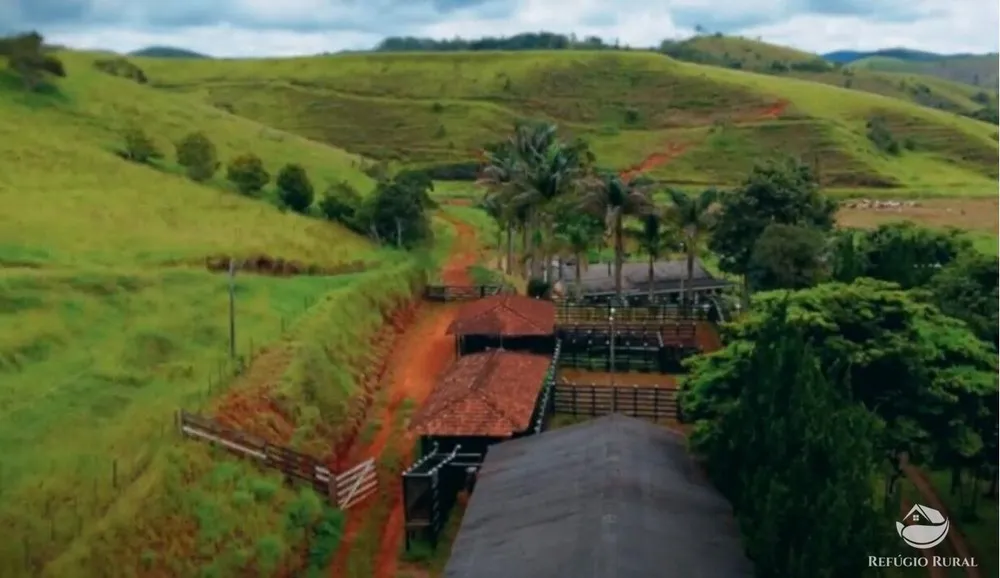 Fazenda, 443 hectares - Foto 1