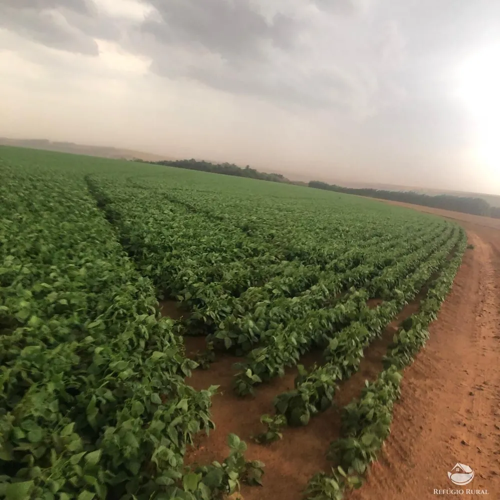 Fazenda, 1694 hectares - Foto 2