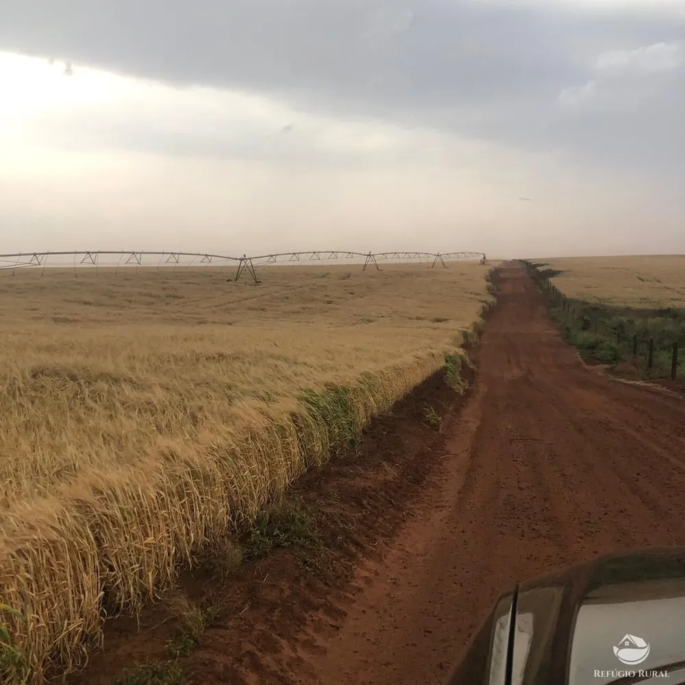 Fazenda, 1694 hectares - Foto 3