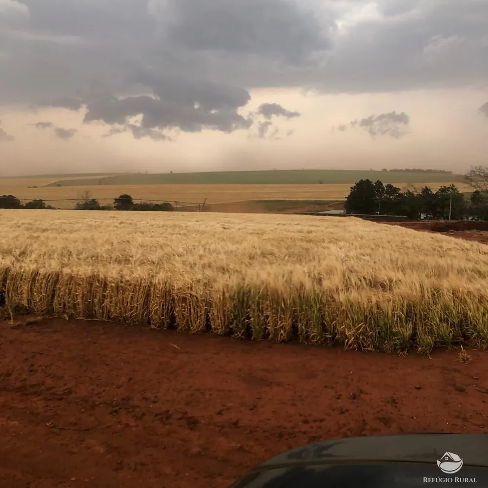 Fazenda, 1694 hectares - Foto 4