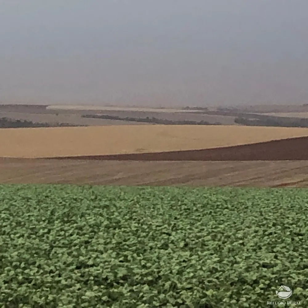 Fazenda, 1694 hectares - Foto 4