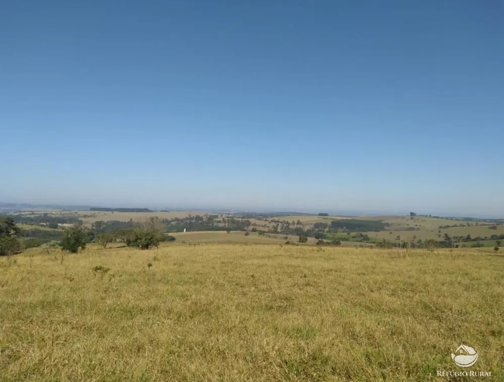 Fazenda, 1694 hectares - Foto 2