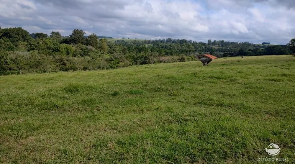 Fazenda, 1694 hectares - Foto 11