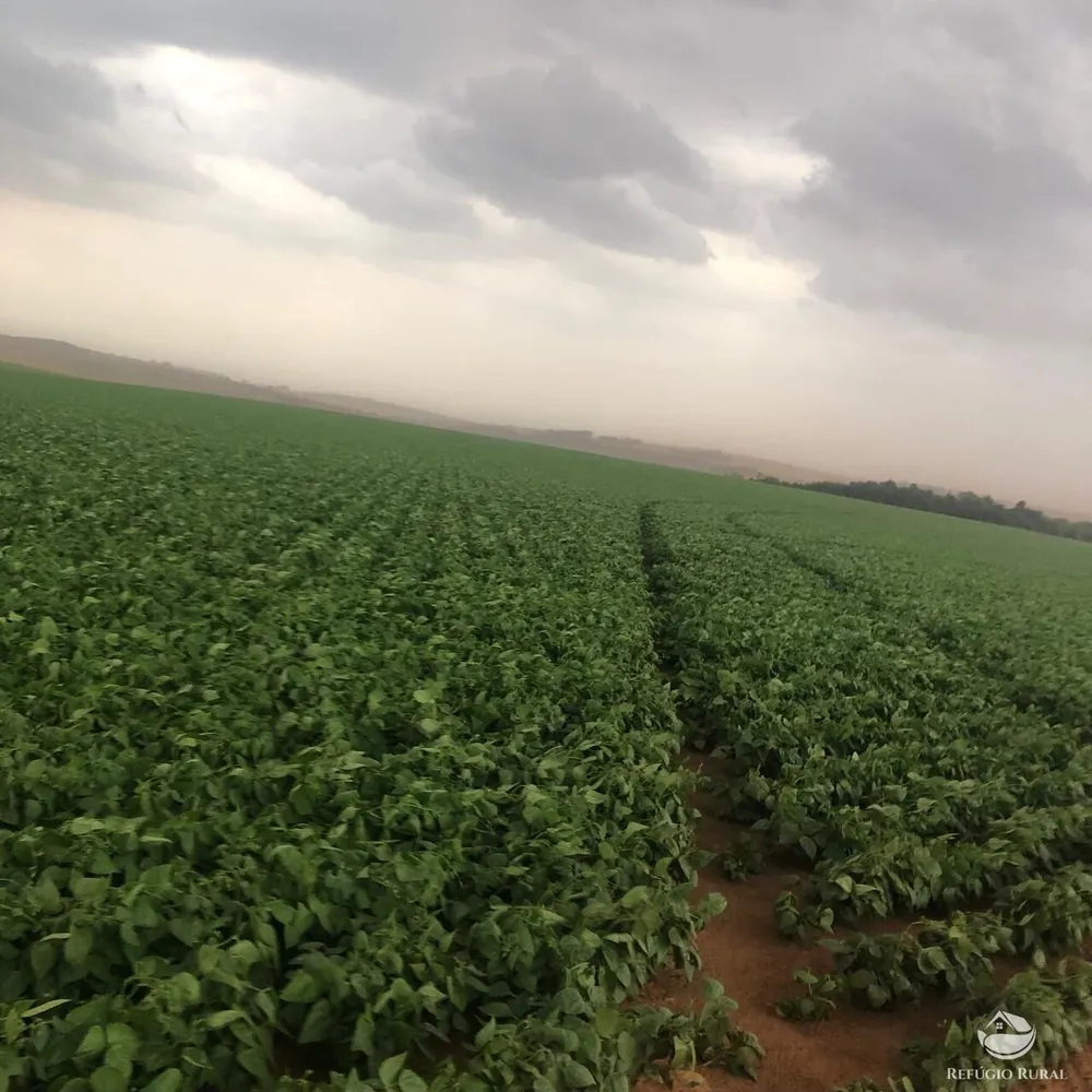 Fazenda, 1694 hectares - Foto 1