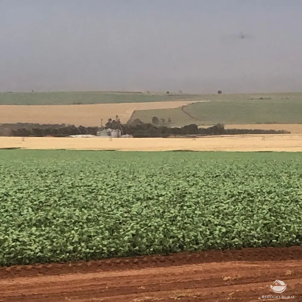 Fazenda, 1694 hectares - Foto 7