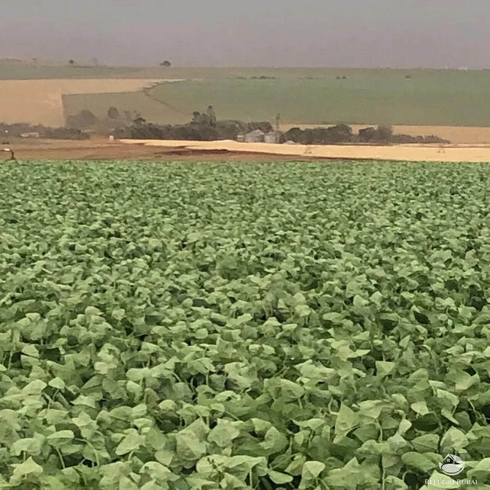 Fazenda, 1694 hectares - Foto 3